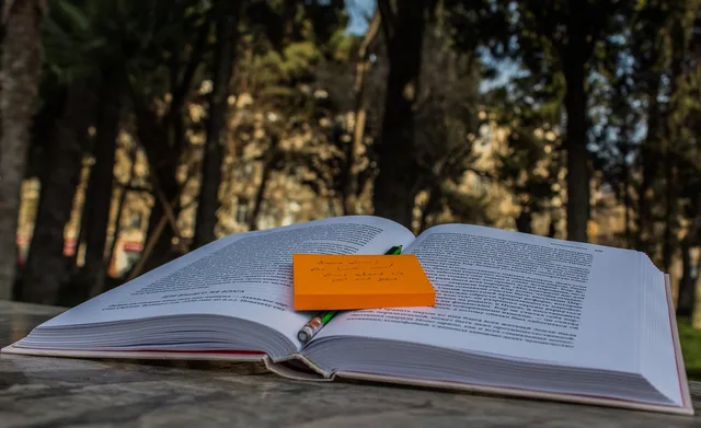 book, notepad, pencil, outdoors, nature, woods, forest, trees, sticker. Creator contracts: data protection and ad disclosure