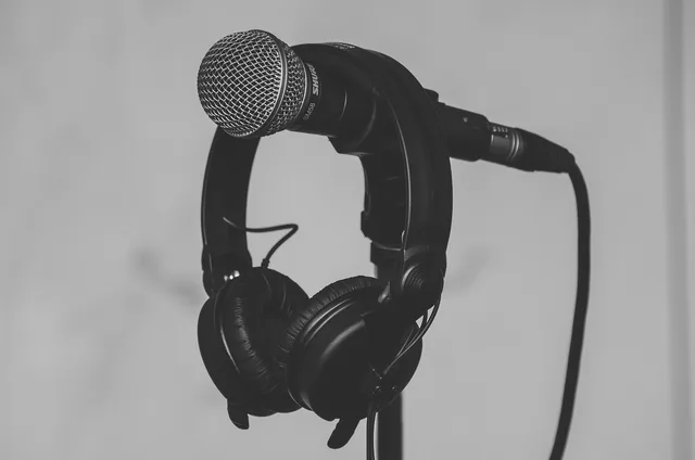 mic, headphones, microphone, audio equipment, audio, electronics, equipment, microphone stand, music, recording, sound, sound recording, studio, technology, monochrome, black and white, mic, headphones, headphones, microphone, microphone, microphone, microphone, audio, music, music, music, music, music, recording, sound, studio. How to check a studio equipment advert for ad disclosure rules