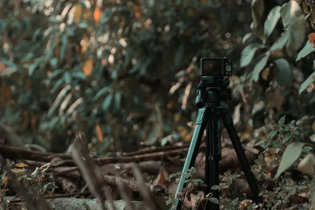 camera, tripod, exilim, casio, shooting, digital camera, digital, technology, casio camera. Sponsorship agreement vs influencer contract: UK differences explained